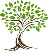 arbre de vie arbre de vie